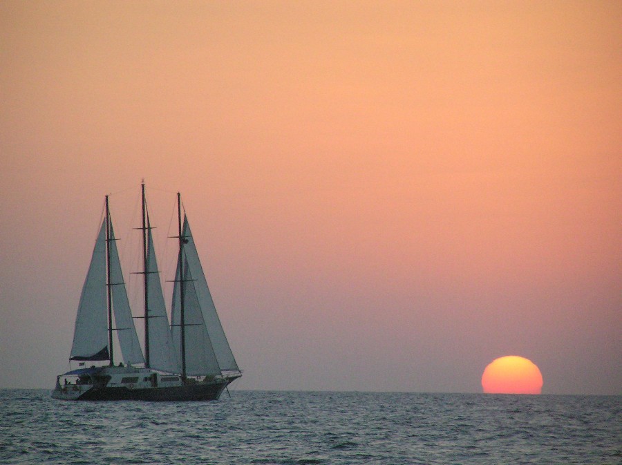 ../Images/231101126kAawiz_fs.jpg