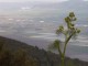 Thumbs/tn_125557364uENIuo_ph.jpg