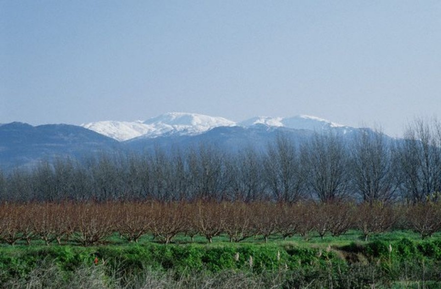 ../Images/GX001423.jpg