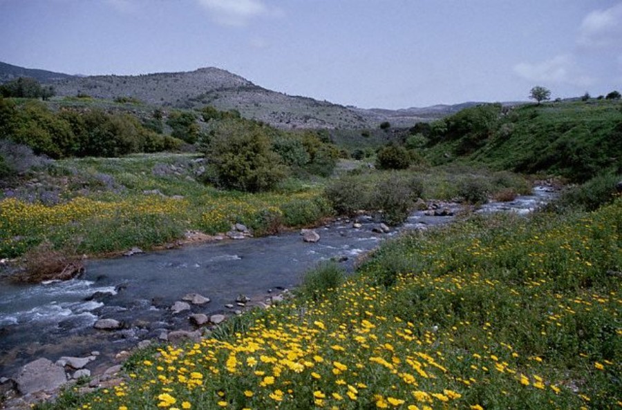 ../Images/GX001461.jpg