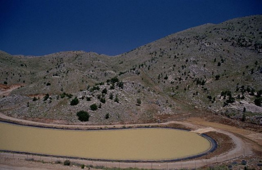 ../Images/GX001490.jpg