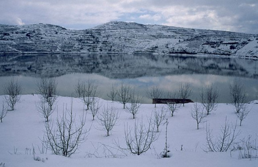 ../Images/GX001796.jpg