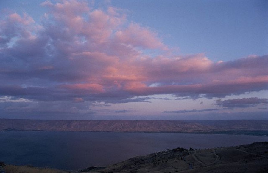 ../Images/GX001798.jpg