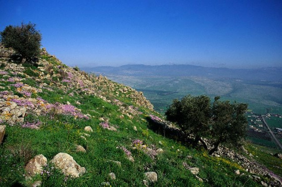 ../Images/HY002358.jpg