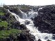 Thumbs/tn_65295152NICDzv_fs.jpg