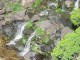Thumbs/tn_683_2509200430526.jpg