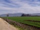Thumbs/tn_683_3012200342561.jpg
