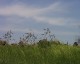 Thumbs/tn_70094694gYrWwP_fs.jpg