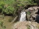 Thumbs/tn_70211015dTLYgr_fs.jpg