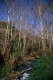 Thumbs/tn_HY002387.jpg