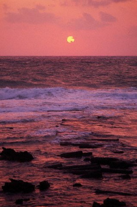 ../Images/IH202732.jpg