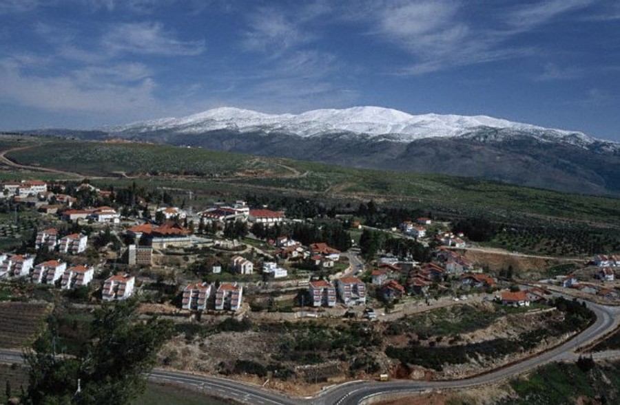 ../Images/GX001432.jpg