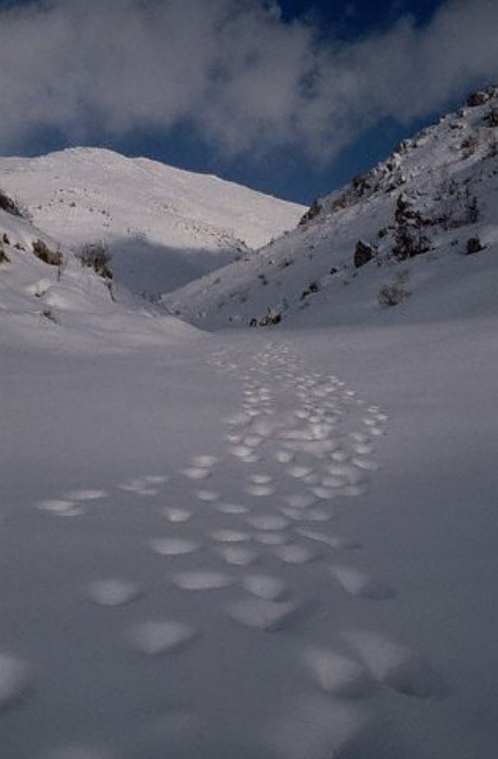 ../Images/GX001483.jpg