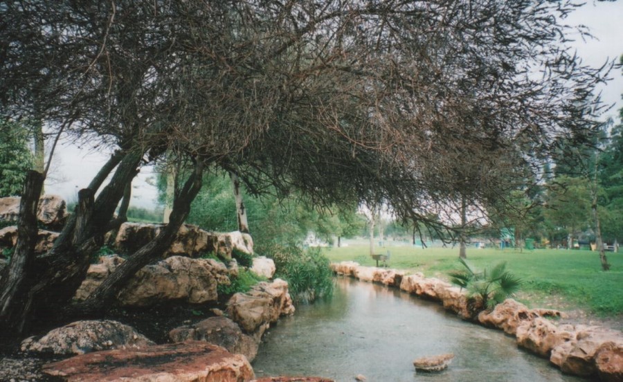 ../Images/071.jpg