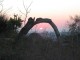 Thumbs/tn_022.jpg