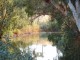 Thumbs/tn_024.jpg