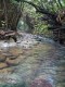Thumbs/tn_027.jpg