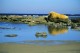 Thumbs/tn_036.jpg