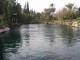 Thumbs/tn_040.jpg