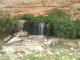 Thumbs/tn_041.jpg