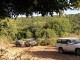 Thumbs/tn_045.jpg