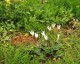 Thumbs/tn_047.jpg