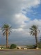 Thumbs/tn_055.jpg