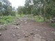 Thumbs/tn_056.jpg
