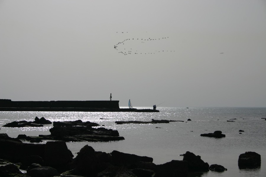 ../Images/131940590qYsoFn_fs.jpg