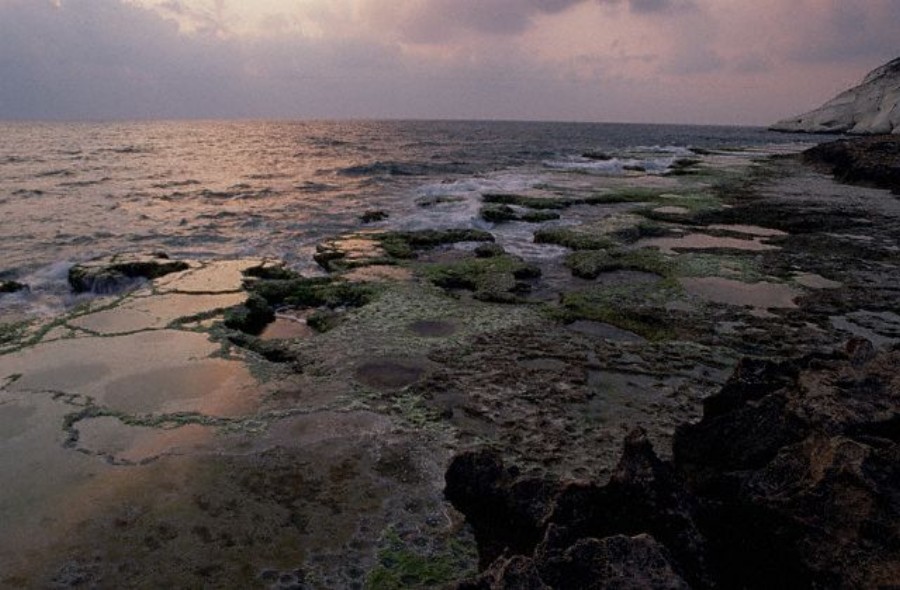 ../Images/GX001368.jpg