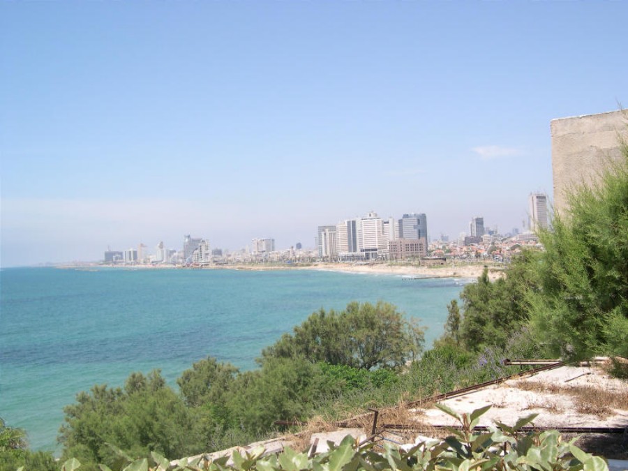 ../Images/91715503LudBIV_ph.jpg