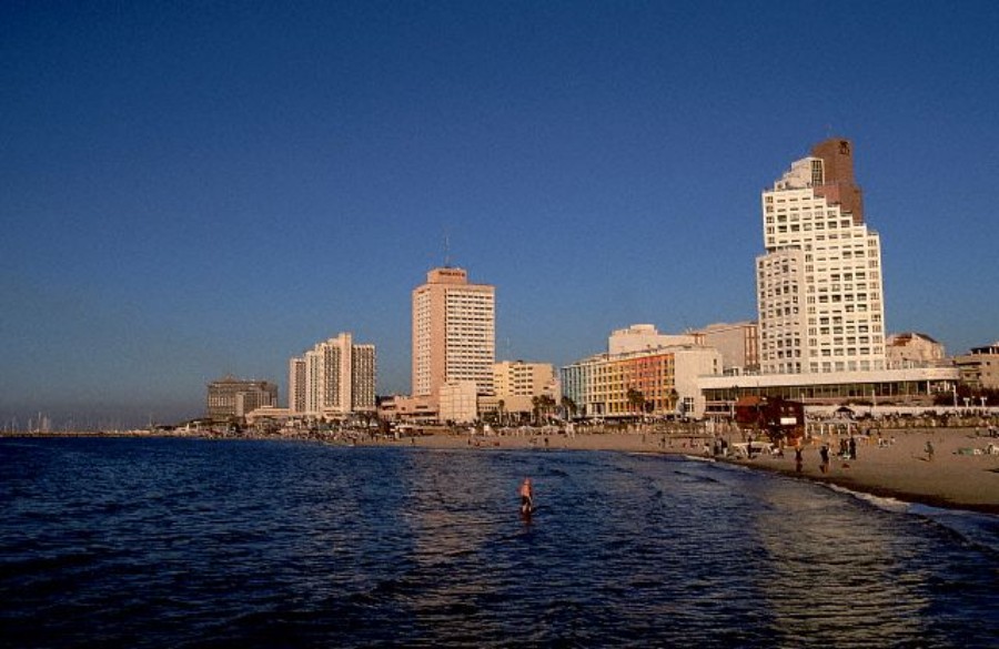 ../Images/HY001973.jpg