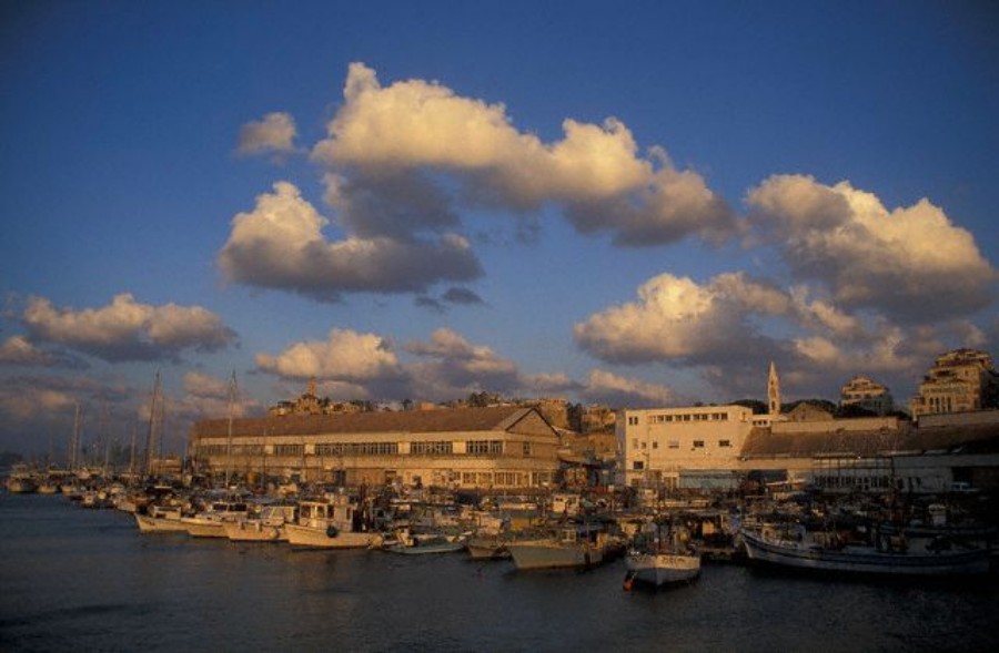 ../Images/HY002626.jpg