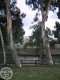 Thumbs/tn_ptach36b.jpg