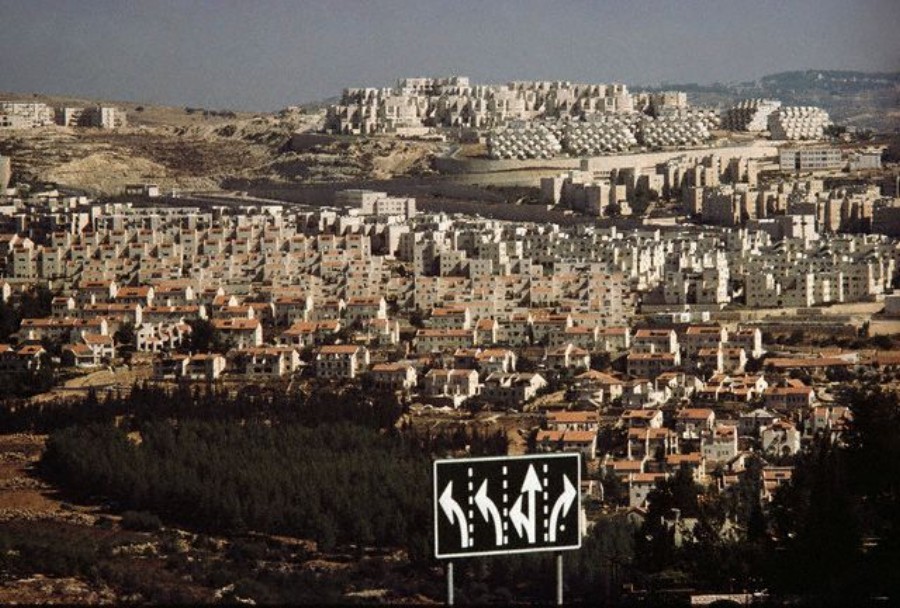 ../Images/AAAO001103.jpg