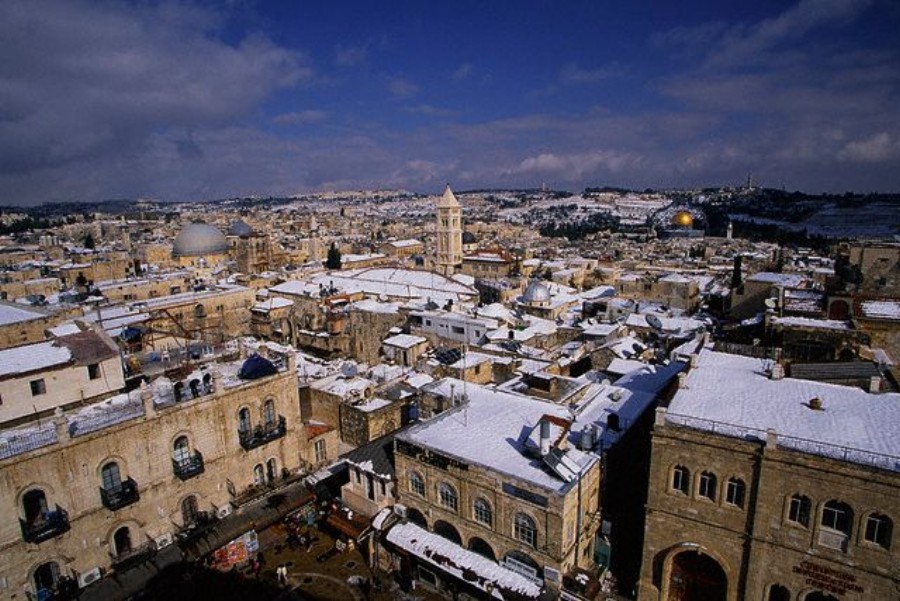 ../Images/HY002368.jpg