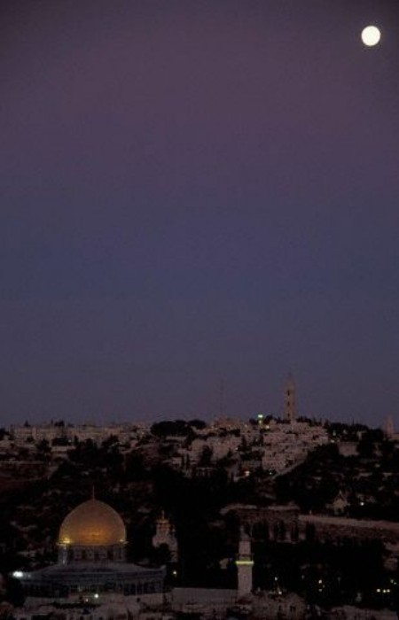 ../Images/HY002629.jpg