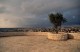 Thumbs/tn_HY001886.jpg