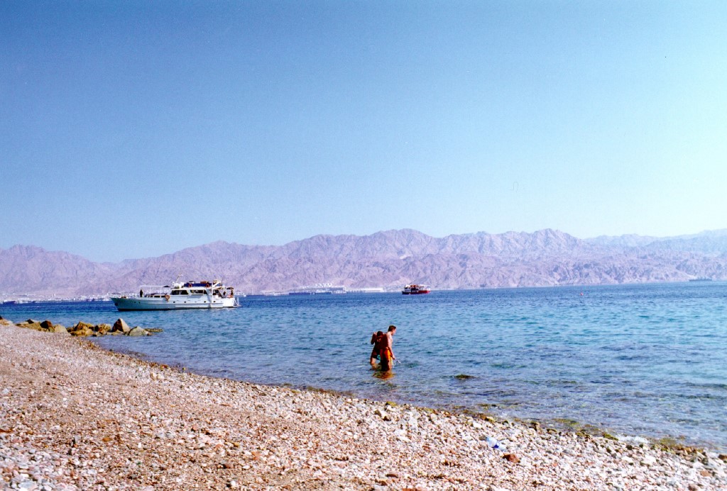 ../Images/168.jpg