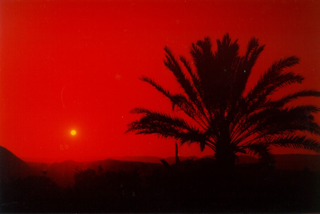 ../Images/173.jpg