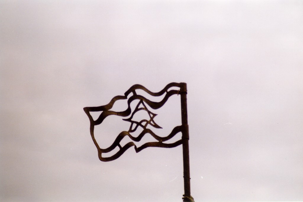 ../Images/196.jpg