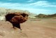 Thumbs/tn_174.jpg