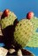 Thumbs/tn_199.jpg